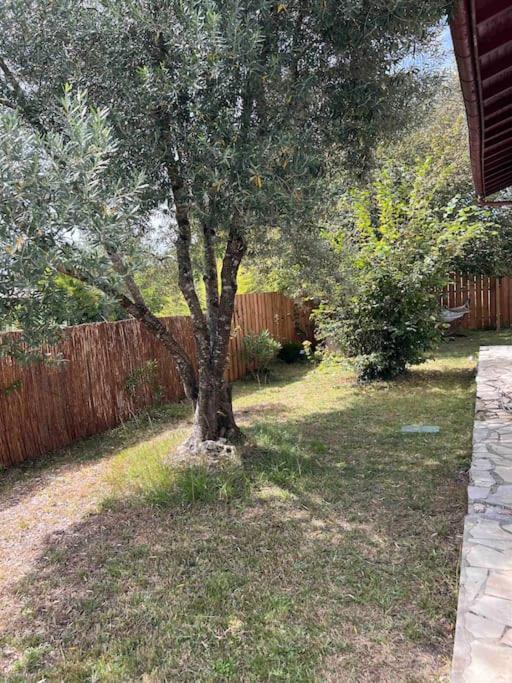 Agreable Maison Landaise Proche Du Lac Sanguinet Exterior photo
